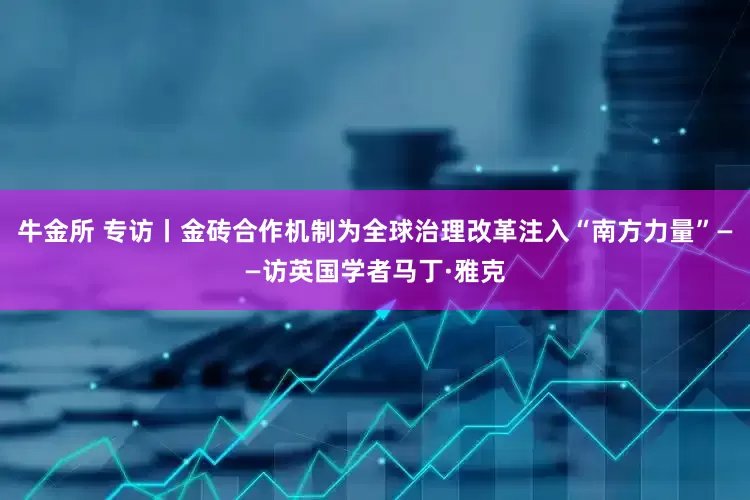 牛金所 专访丨金砖合作机制为全球治理改革注入“南方力量”——访英国学者马丁·雅克
