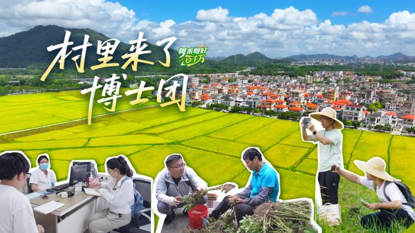 新富策略 一群博士的乡村“夜晚总结会”