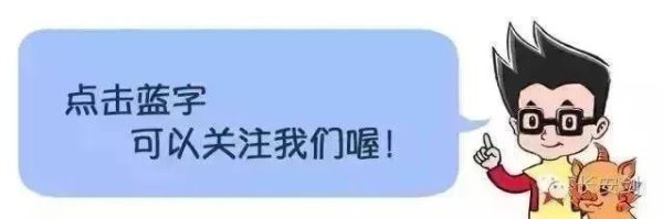 金多多 辽GM8297司机承认：我是故意的！