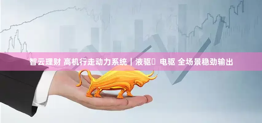 智云理财 高机行走动力系统｜液驱・电驱 全场景稳劲输出